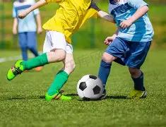 阿德巴约强,调顶级球员,追求高分,新葡京,新葡京app,新葡京娱乐,新普京赌场