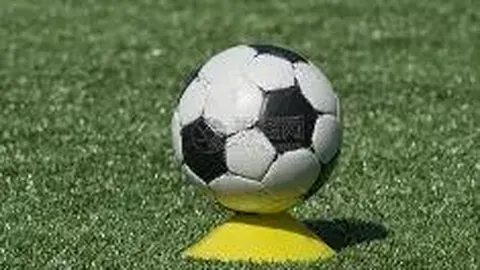 戴維斯：英超征途压力重重，足球热情不减！